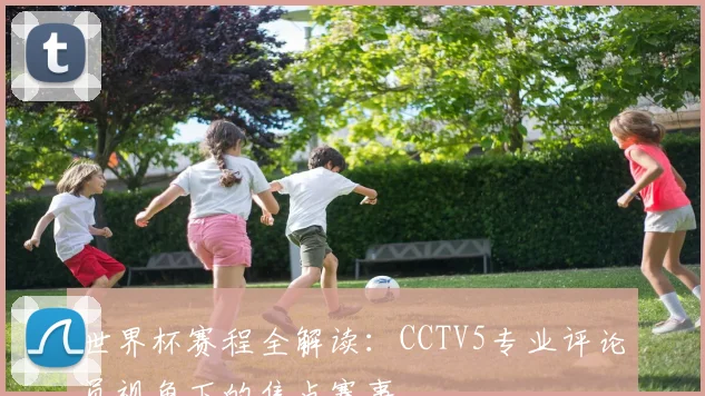 世界杯赛程全解读：CCTV5专业评论员视角下的焦点赛事