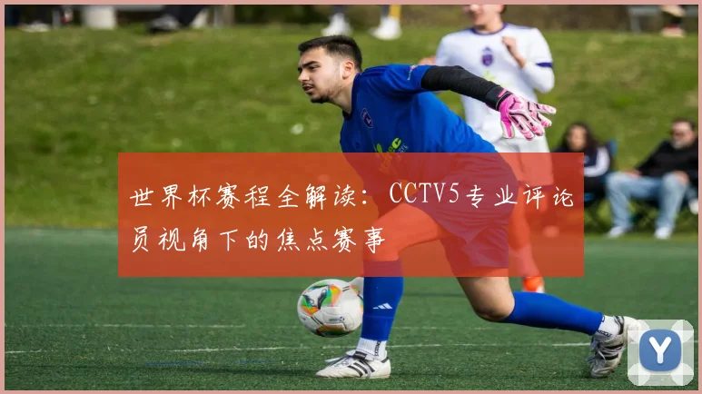 世界杯赛程全解读：CCTV5专业评论员视角下的焦点赛事