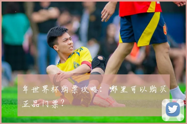年世界杯购票攻略：哪里可以购买正品门票？