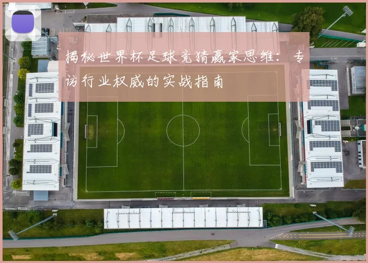 揭秘世界杯足球竞猜赢家思维：专访行业权威的实战指南