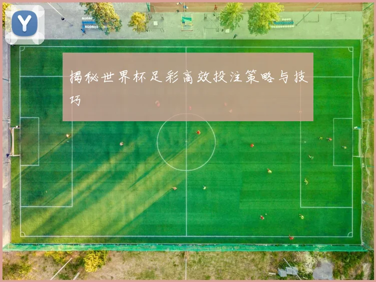 揭秘世界杯足彩高效投注策略与技巧