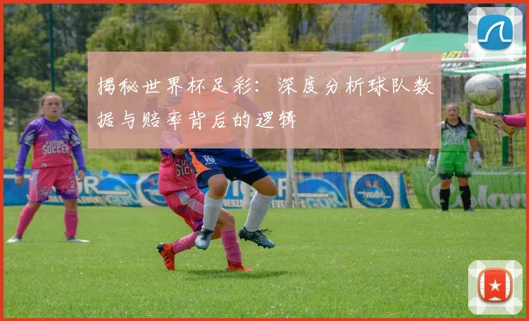 揭秘世界杯足彩：深度分析球队数据与赔率背后的逻辑