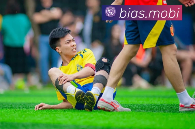 开云手机在线登录界面平台生态图